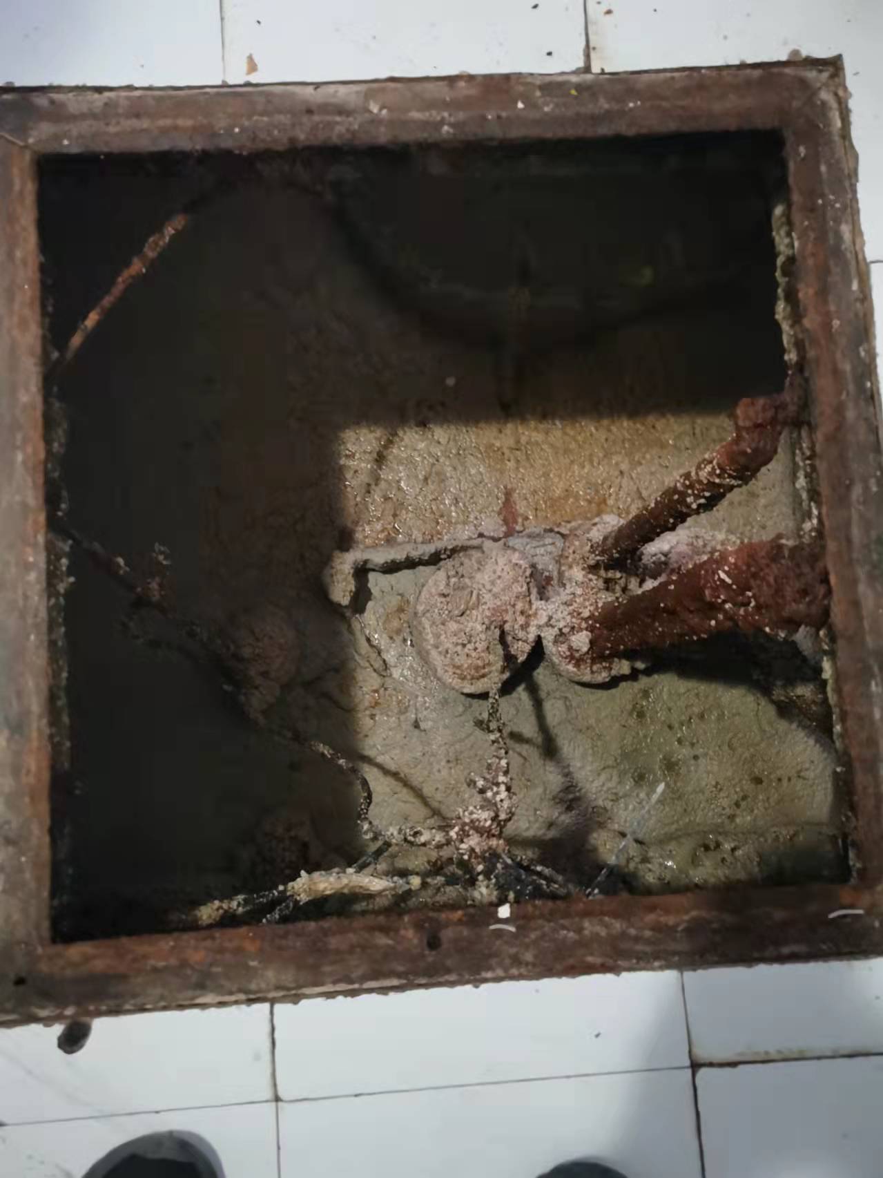 隔油池清理